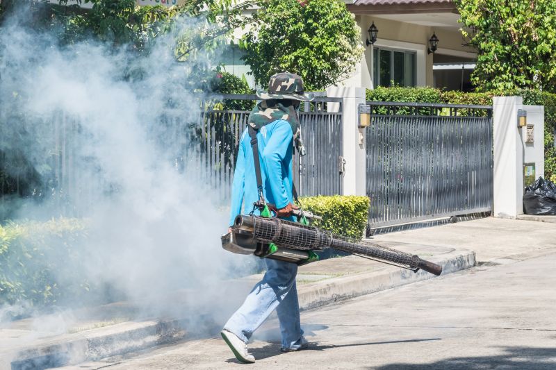 Spider Fumigation Service in Fort Collins, CO
