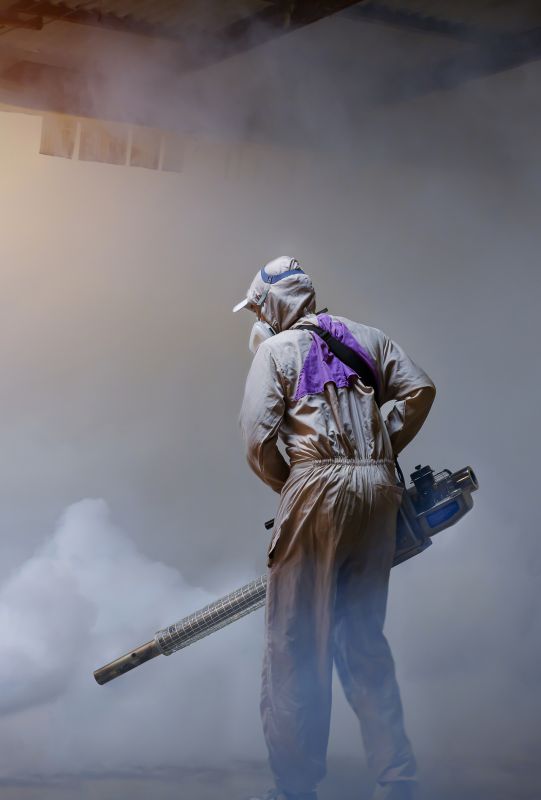 Spider Fumigation Service in Woodbridge, VA