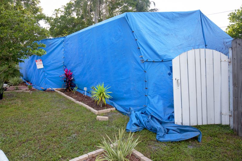 Termite Tenting in Naperville, IL