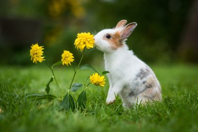 Avoid Destruction of Plant Life!