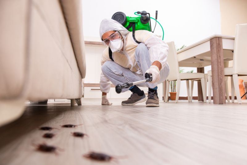 Moth Extermination in Frisco, TX