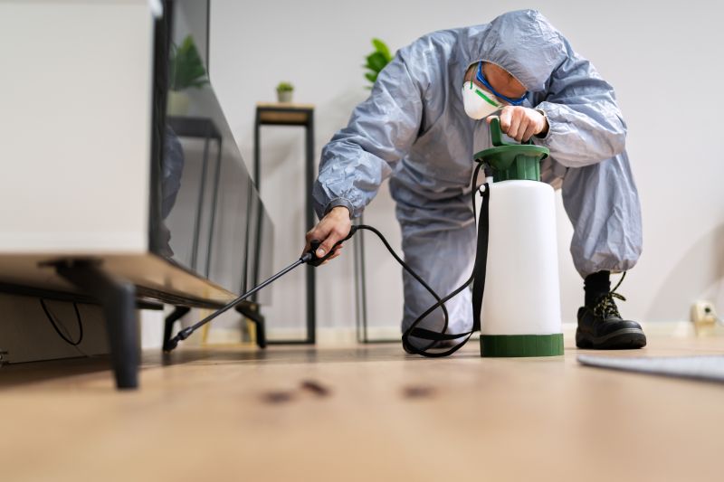 Spider Fumigation Service in Davis County, UT