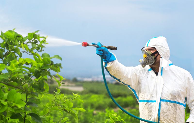 Spider Fumigation Service in Fort Myers, FL